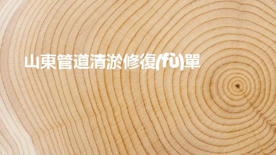 山東管道清淤修復(fù)單位電話：解決你家管道問(wèn)題的終極救星，速撥一通，暢享無(wú)憂！